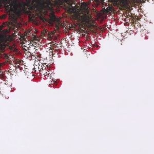 Meet your Posher, Larissa